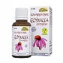 Echinacea Compositum Alchemistische Essenz